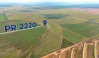 17616 N Private Road 2220, Abernathy, TX 79311