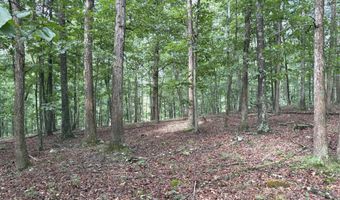 26 33 ACRES HICKORY CORNER Rd, Augusta, WV 26704