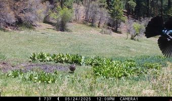 15098 CR 240, Bayfield, CO 81122