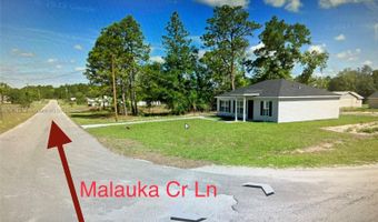 11 Malauka Circle Ln, Ocklawaha, FL 32179