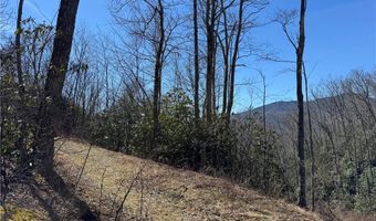 Lot # 70 Tall Tree Lane, Banner Elk, NC 28604