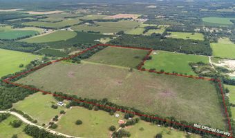 7009 129 Hwy, Bell, FL 32619