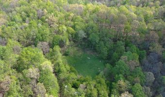 1000 Coon Fork Rd, Arnoldsburg, WV 25234