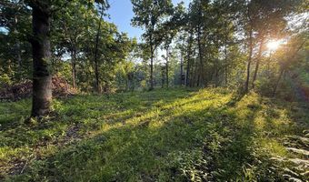 Jasmine Avenue, Atlanta, MO 63530