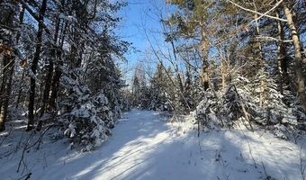 US-1 lot 10, Baring Plt, ME 04694