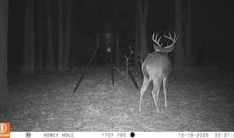 BRUSHY Ln, Arley, AL 35541