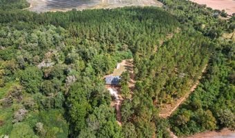 1289 Bruner Pond Rd, Ashford, AL 36312