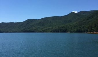 238 Lakeview Dr, Almond, NC 28702