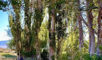 2605 Unionville Rd, Imlay, NV 89418