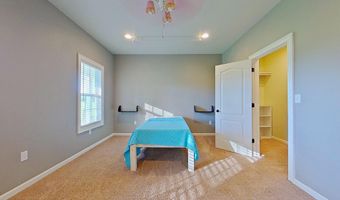 190 Claytie Douglas Rd, Alma, GA 31510