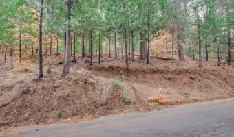 1695 Manzanita Dr, Arnold, CA 95223