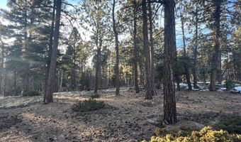 Vail Loop lot 352, Angel Fire, NM 87710
