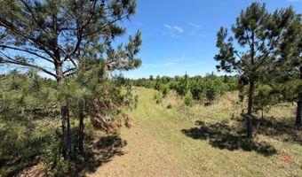 County Road 38, Autaugaville, AL 36003