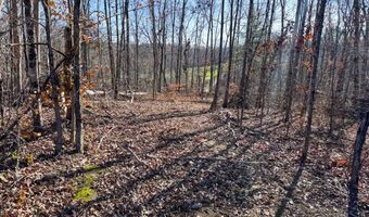 0 W Captina Highway Rd, Alledonia, OH 43902