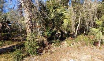 11090 107 Ter, Archer, FL 32618