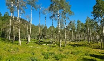 40 Acres Summit Mountain Rd, Brian Head, UT 84719