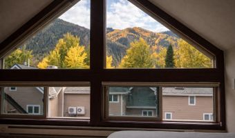 409 Park Cir 2, Aspen, CO 81611