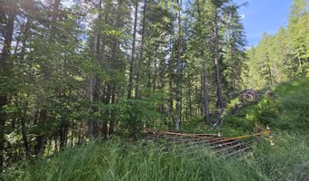480 Dunn Peak Rd, Avery, ID 83802