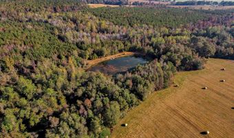 0 County Road 127, Banks, AL 36005