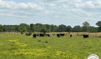 TBD US Hwy 82 W, De Kalb, TX 75559