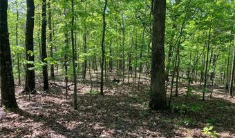 0 County Road 224, Alton, MO 65606