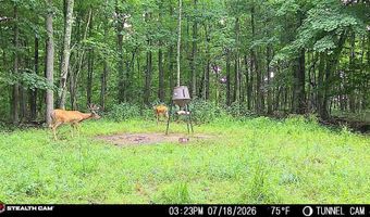 1271 A Tunnel Ridge Rd, Argillite, KY 41121