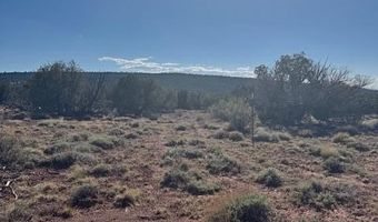 36 County Road N8487, Concho, AZ 85924