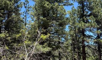 Spanish Peaks Dr, Aguilar, CO 81020