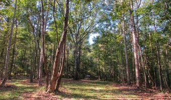 Anding Oil City Road, Bentonia, MS 39040