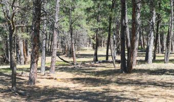 Lot S, Belle Fourche, SD 57717