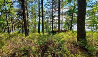 Spruce Mountain Lake, Beddington, ME 04622