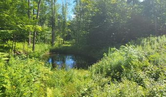 Lot39 Tripptown Road, Hiram, ME 04041