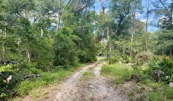 1109 NW 78th Ave, Bell, FL 32619