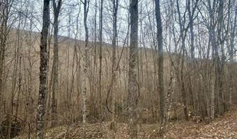 Brair Fork Road, Bean Station, TN 37708