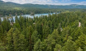 13727 Big Hawk Dr, Bigfork, MT 59911