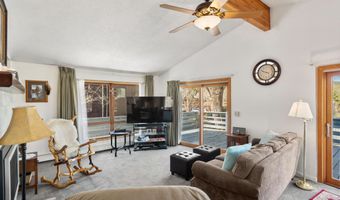 534 And 536 Spruce St 1 And 2, Aspen, CO 81611