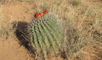 16415 S Shoshone Trl 317, Benson, AZ 85602