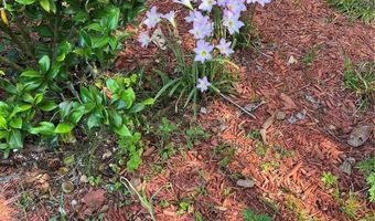 6803 NW 168TH St, Alachua, FL 32615