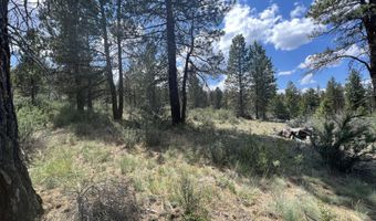 Bufflehead Drive, Bonanza, OR 97623