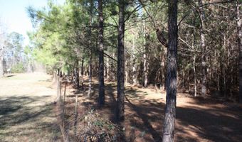 2650 Joe Miley Rd, Brunson, SC 29911