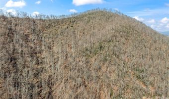 31 Reillys Bluff Rd 2, Barnardsville, NC 28709