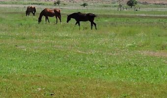 Pinenut Road, Gardnerville, NV 89410