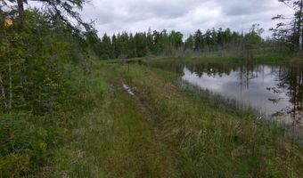 3305 El Cajon Beach Rd, Alpena, MI 49707