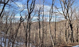 MOUNTAIN LAUREL LN 1, Afton, VA 22920