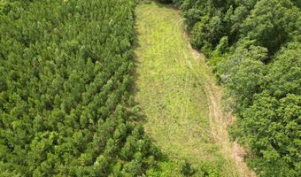 590 County Road 204, Ariton, AL 36311