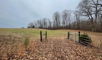 3855 SULPHUR CREEK Rd, Big Sandy, TN 38221