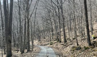 0 TBD Elleber Sods Rd, Bartow, WV 24920