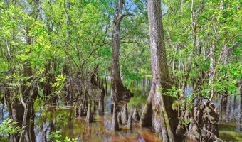 7095 Parkers Ferry Rd, Adams Run, SC 29426