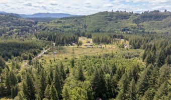 Lewis River Rd, Ariel, WA 98603