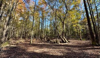 TBD Binnicker Bridge Road, Bamberg, SC 29003